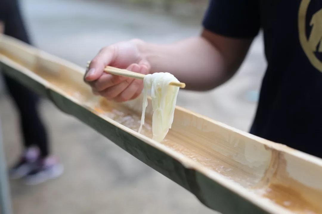 日本的这个地方,很少有中国游客,超级文艺治愈系!