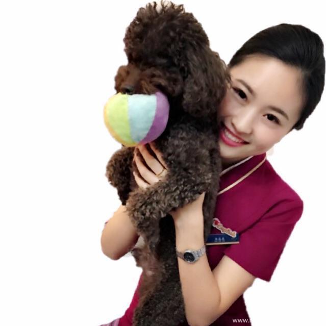 空姐十二钗（副册）