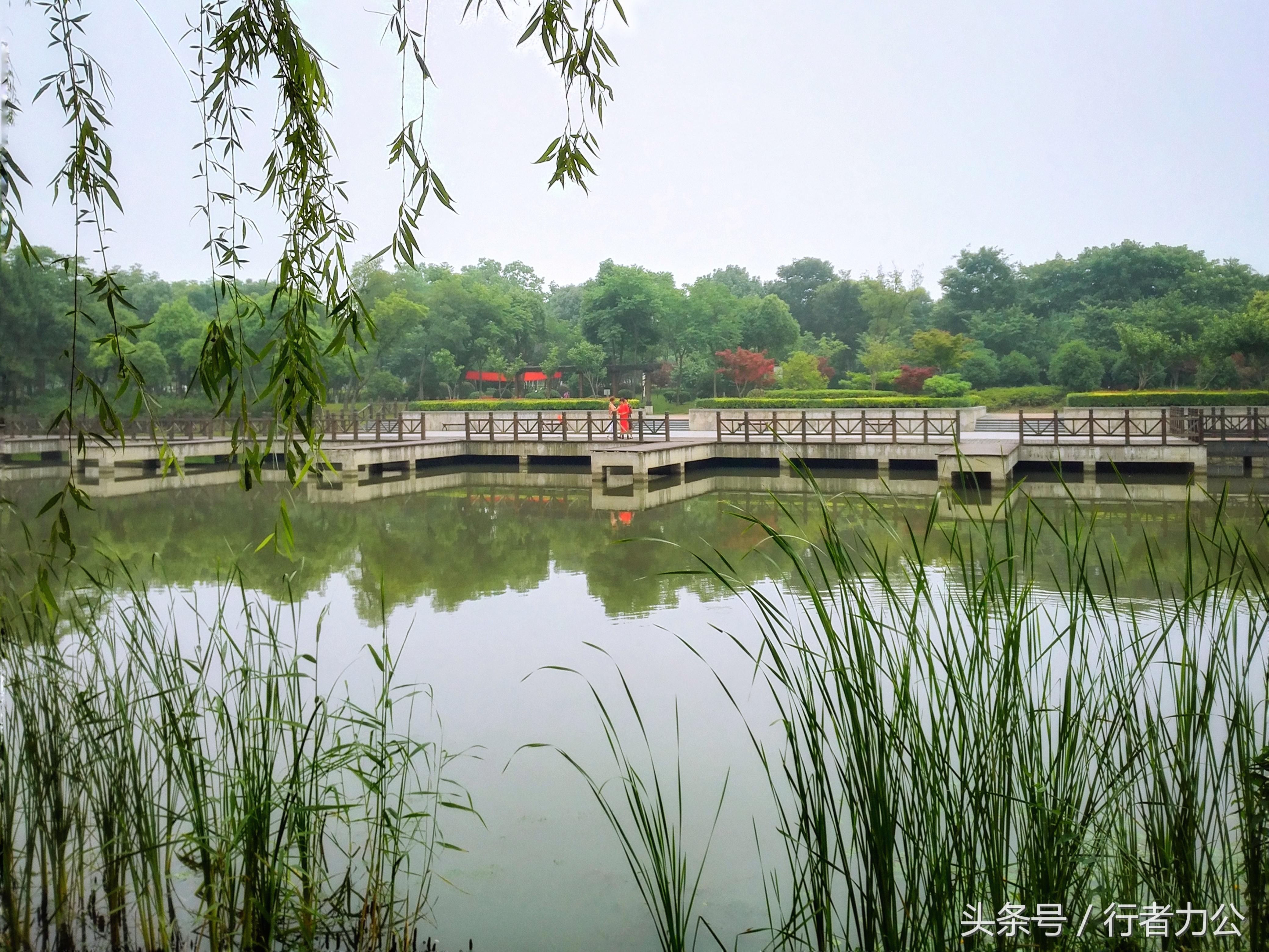 尚贤河湿地公园攻略,尚贤河湿地景点