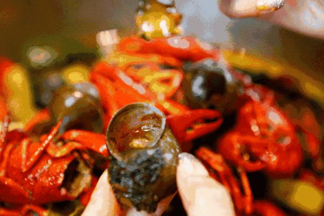 圣夏夜狂欢季｜音乐热舞、冰啤球赛全免费，欢乐夜场卡限量抢！