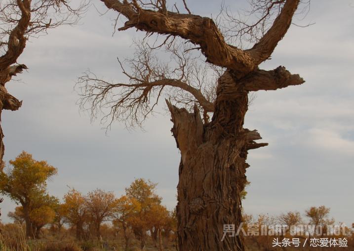谈恋爱正确的方法都有哪些,谈恋爱的技巧有哪些