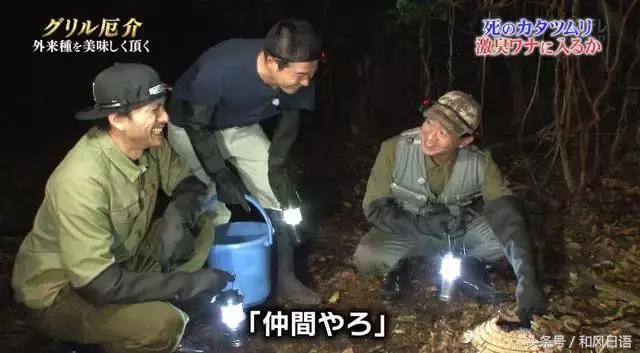 摸一下可能会死？！这个入侵日本的外来物种好可怕！