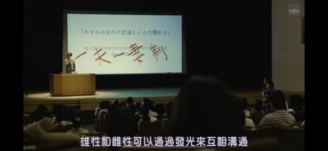 婚内出轨破坏别人家庭法律法规 (破坏和背叛家庭)