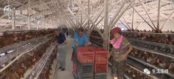 买的二手车自燃,新买二手车突然自燃