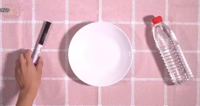 科学小实验小蝌蚪变青蛙的全过程,实验小蝌蚪从水里漂起来