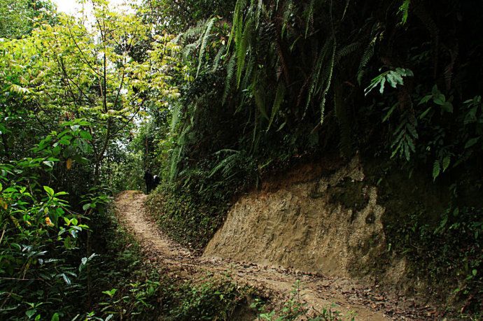 最美樱花温泉,樱花谷泡温泉价目表