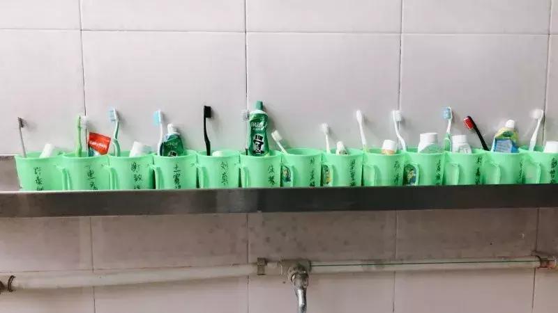 应试教育、素质教育水火不容？武汉这所学校交出完美答卷