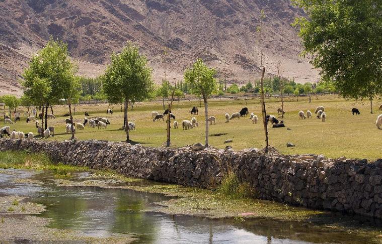 赵丽颖林更新《楚乔传》，赵丽颖被狼追杀，景点原来是这里！