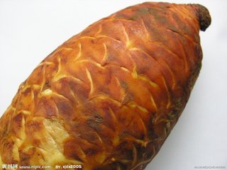 肉苁蓉能益精填髓吗,中医讲肉苁蓉功效视频