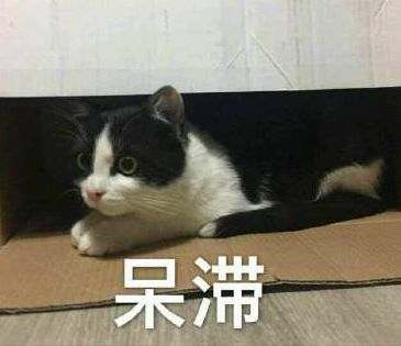 这个中国小村子造20年假烟,造出上百亿美国市场,连正品都来抄袭