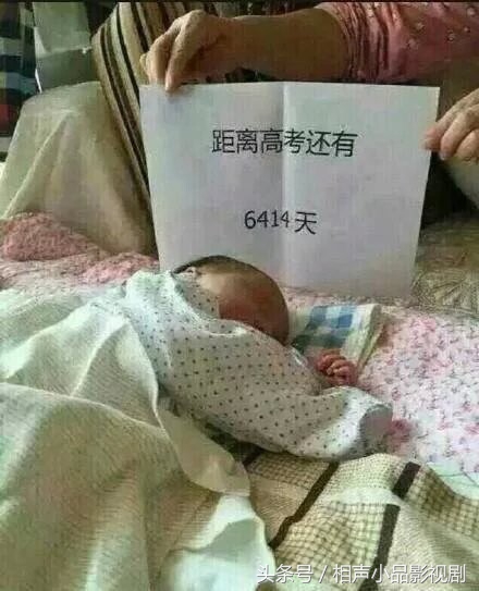 天王盖地虎，全考985，宝塔镇河妖，全上211祝愿学子们高考顺利