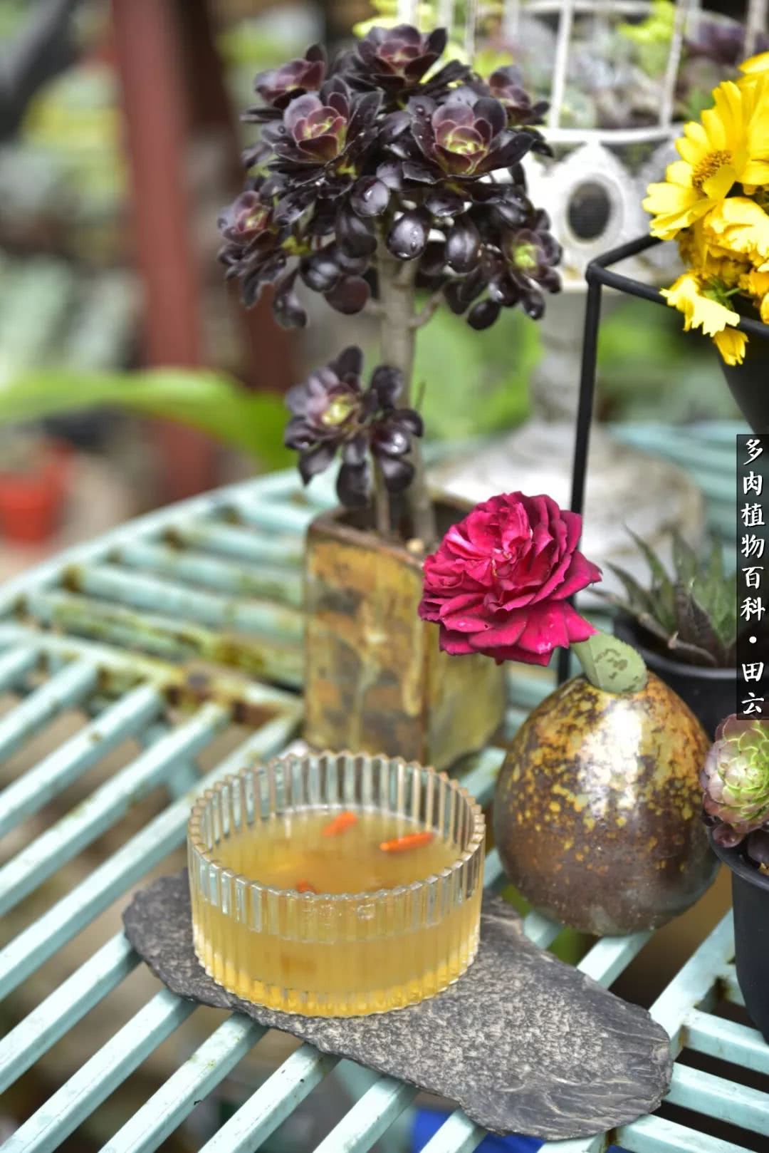 推开世界的门和自己和解,推开世界的门你所看到的风景