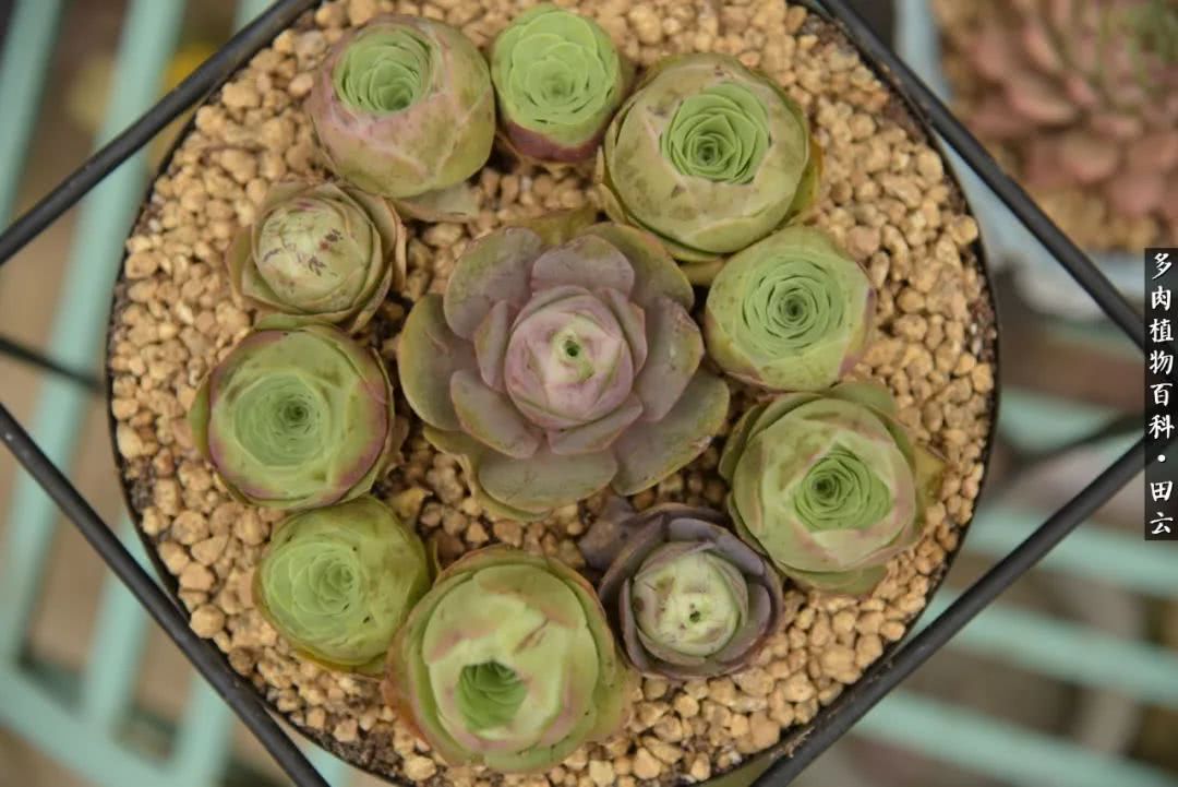 推开世界的门和自己和解,推开世界的门你所看到的风景