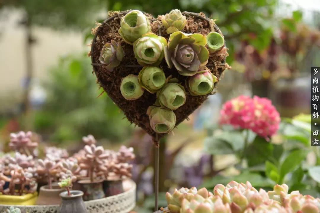 推开世界的门和自己和解,推开世界的门你所看到的风景