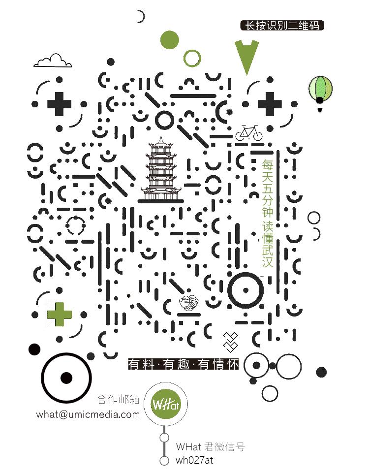 武汉新建的打卡小镇,武汉的一座小镇