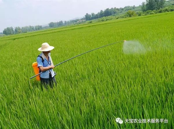 这些农药知识你一定要知道,农药四霉素缺点