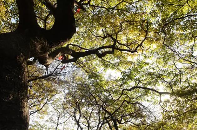 必去的绝美海岛,美哭的普吉岛完整版