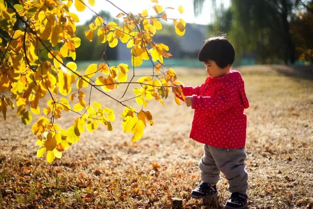 索尼黑卡数码相机dsc-rx100m6,索尼dsc-rx100m6黑卡6代数码相机