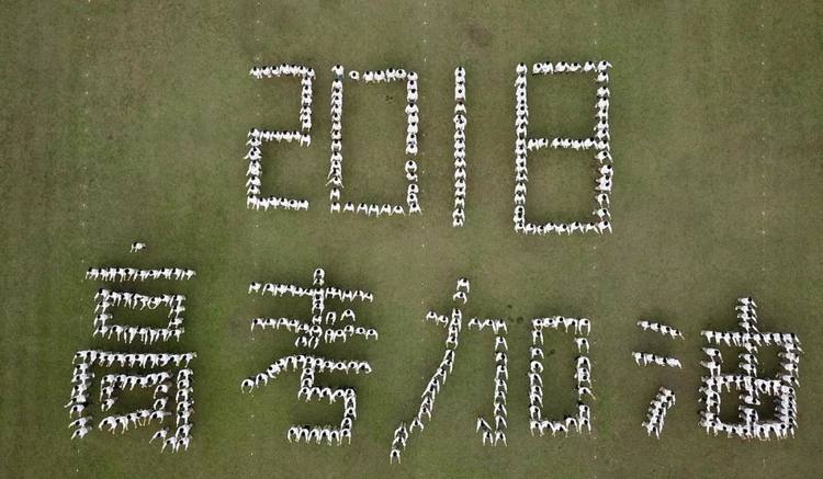 那些年一起追的梦,那些年一起追的女孩的歌