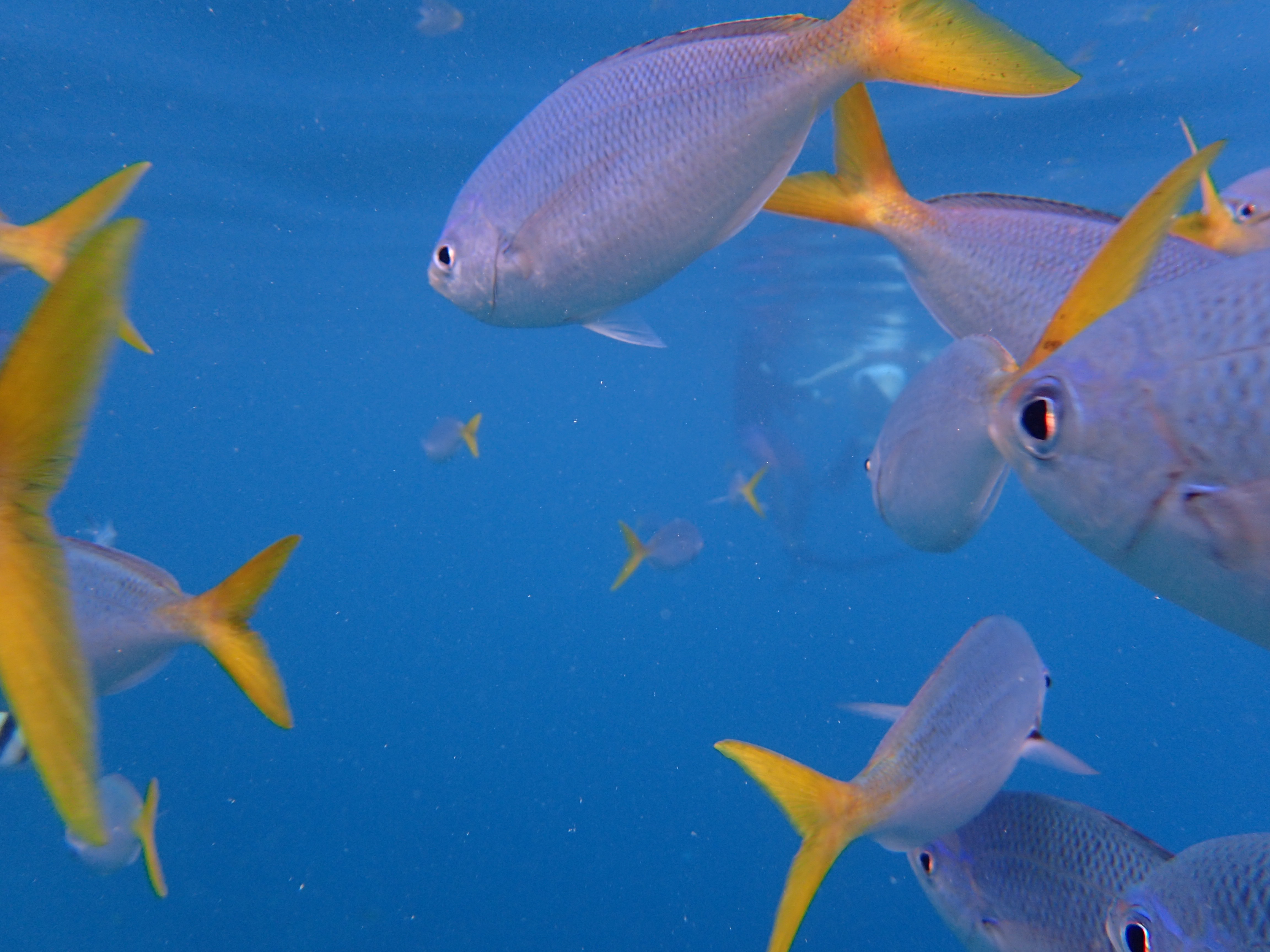 海岛地图最美风景打卡点,山东人少景美的海岛推荐
