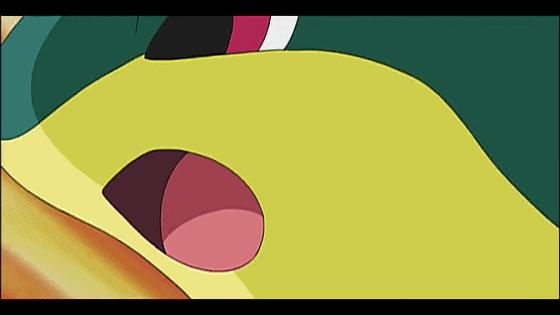 小智的神奇宝贝胜率,小智的所有神奇宝贝胜率