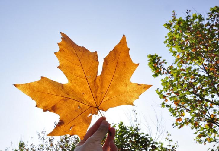 加拿大留学哪个城市高中好,加拿大留学城市排行榜