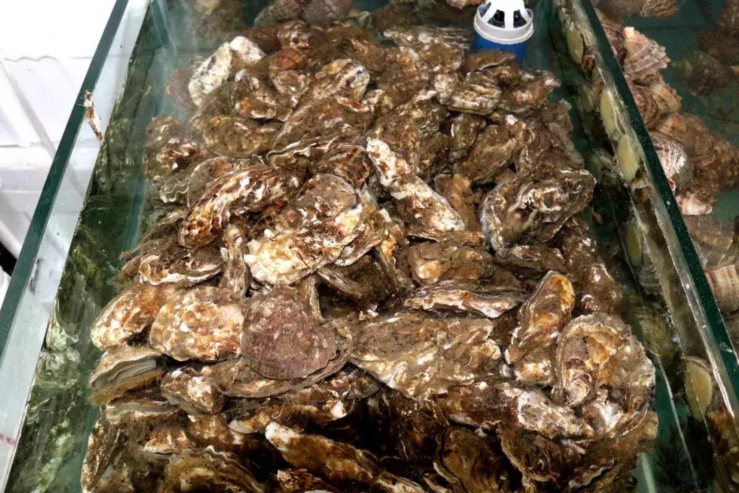 大泉沟海鲜美食街,大泉沟美食街7号