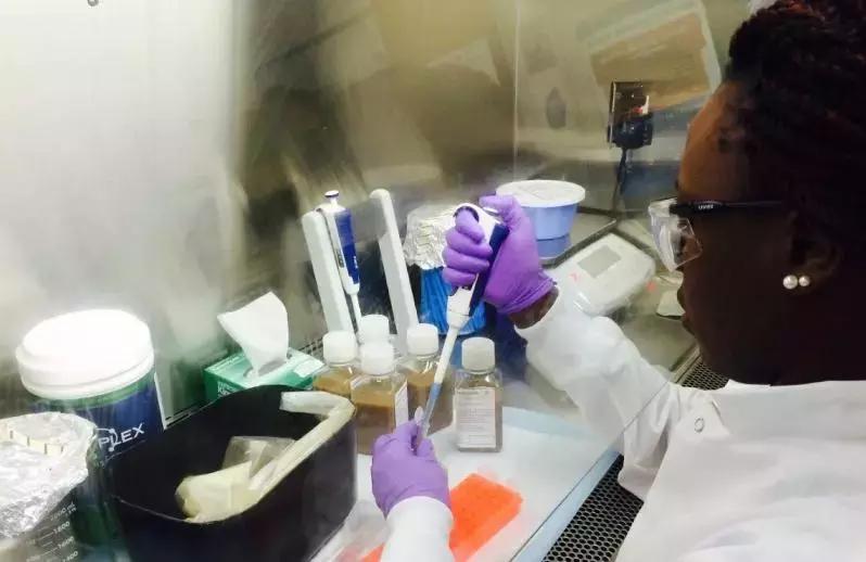 捐粪便就能年入8.3万!问题是“成为捐赠者比考哈佛还难”