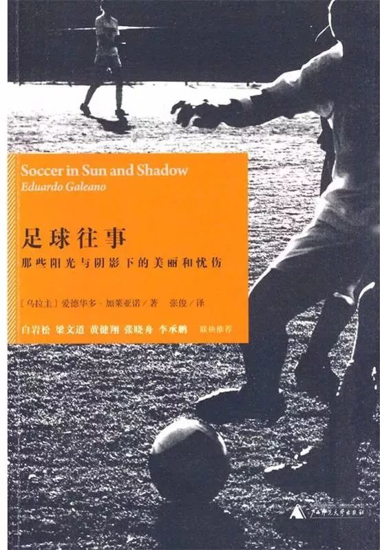 那些年我们一起追的球星评分,那些年我们一起追的球星3