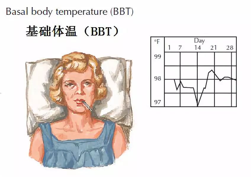 体温的秘密：基础体温浅析
