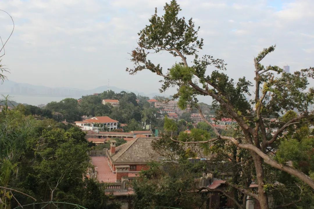 厦门鼓浪屿三日两夜亲子游,厦门鼓浪屿旅游一家三口攻略