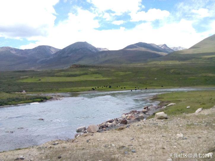 一个人、一只狗、一辆小踏板，风雨30天去*藏西**的故事（四）