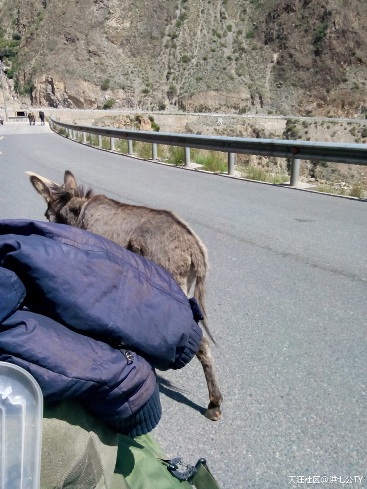 一个人、一只狗、一辆小踏板，风雨30天去*藏西**的故事（四）