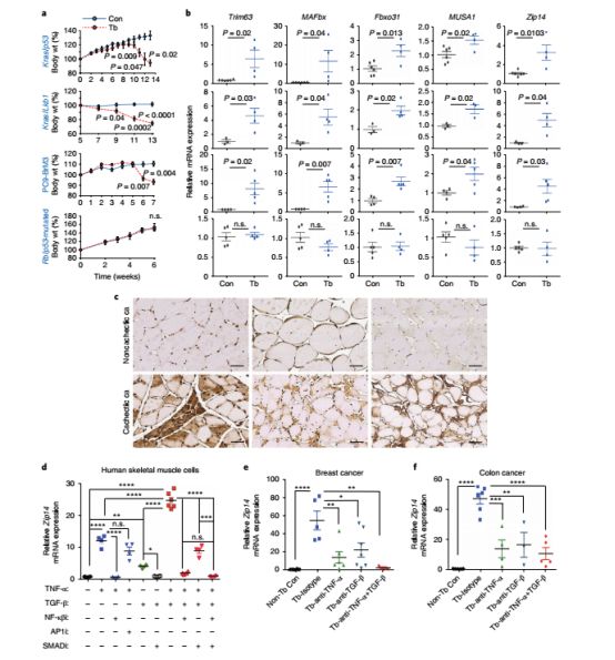 nature子刊缺氧癌症,nature子刊禁食加维生素c