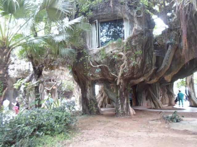 深圳海上田园怎么样,深圳海上田园景区