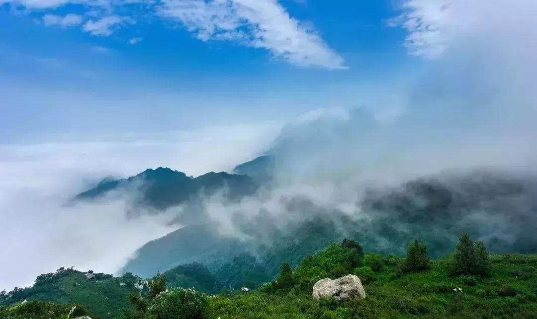 石家庄市投资100亿以上项目,总投资1126亿石家庄项目开工