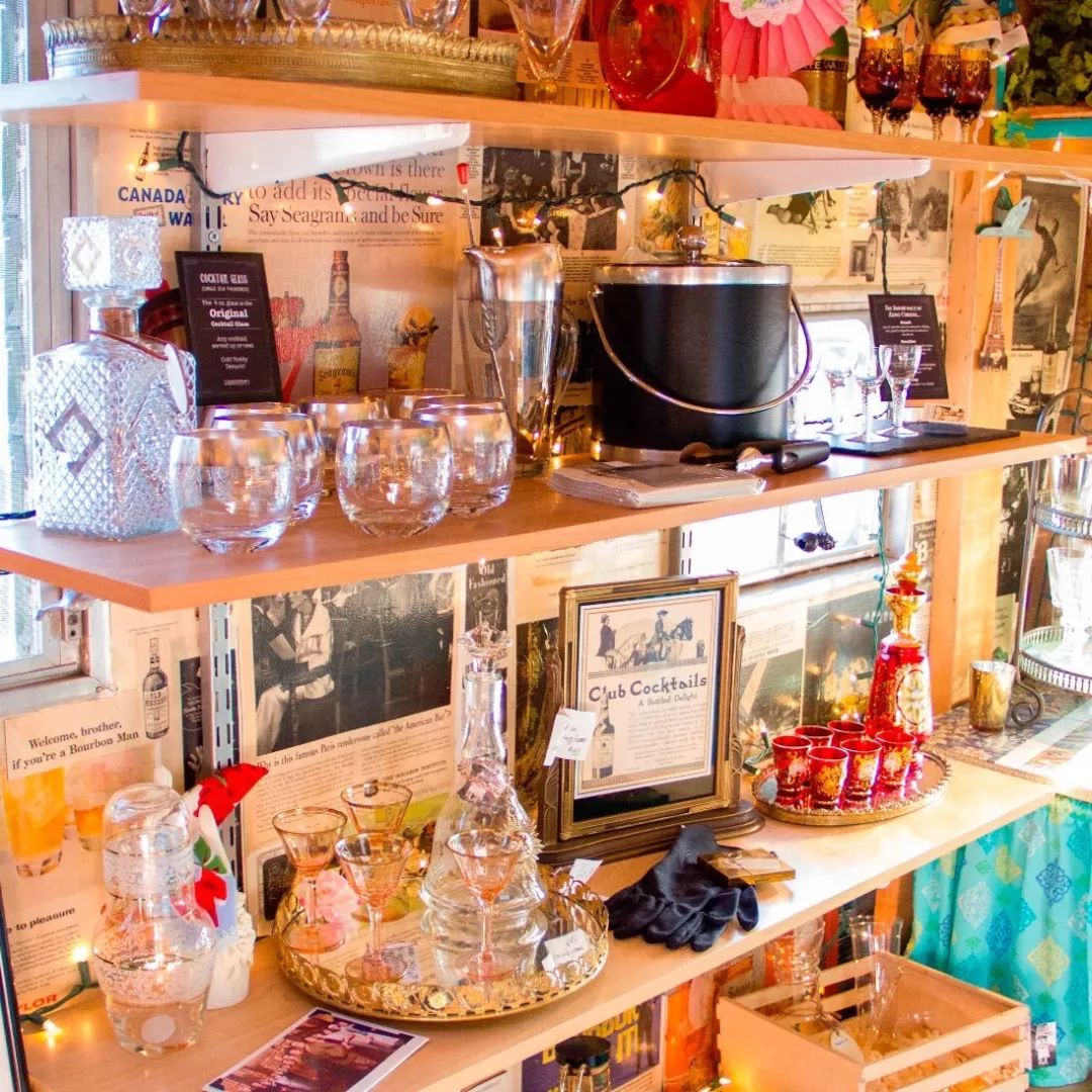 宠物行旅,宠物旅游攻略和萌宠一起畅游世界