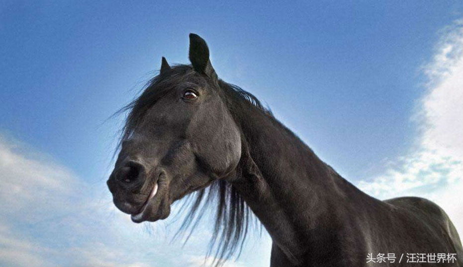 2018世界杯预测与分析,2018世界杯预言