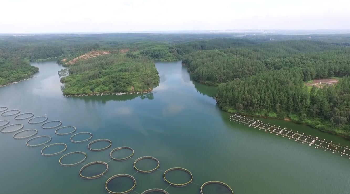 家庭用微波炉可以做烤鱼吗,家庭烤鱼微波炉最简单的方法