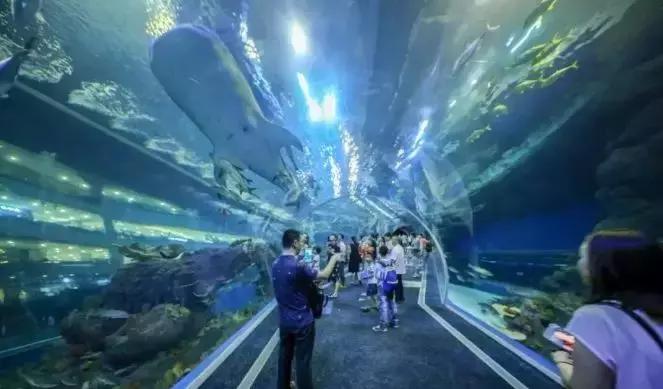 双流人公认的12大美女，一个比一个惊艳，简直是人间极品！