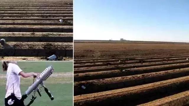 可笑又可怕，为了运毒，他们连小丁丁都不放过