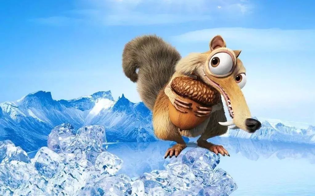 当代人的第十三个属相:松鼠