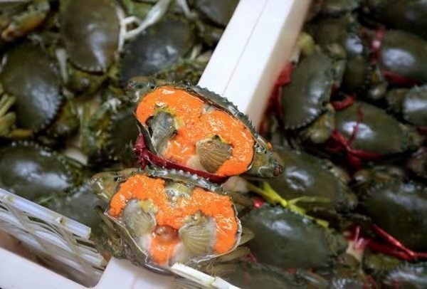 三亚陪伴孩子之旅结束寄语,陪伴是爱