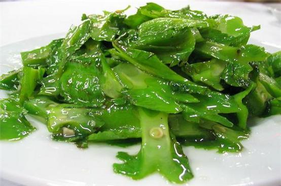 三亚陪伴孩子之旅结束寄语,陪伴是爱