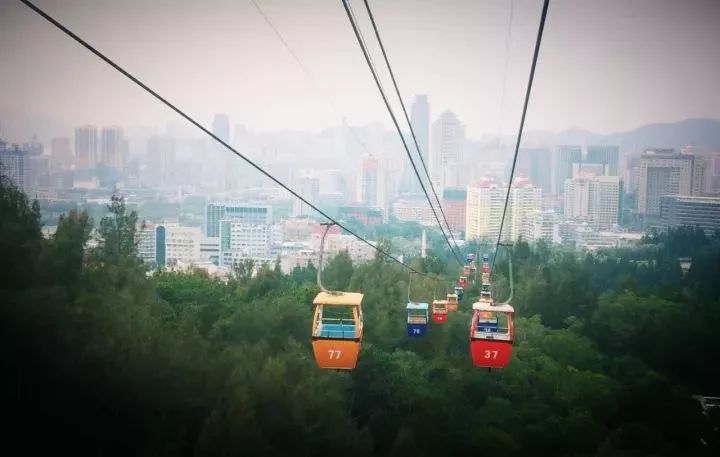 这个夏天我们再邂逅一次厦门吧,这个夏天想跟你再去一次厦门