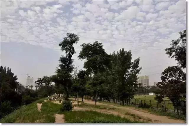 郑州周边夏天好玩的景点,郑州夏天旅游攻略景点必去