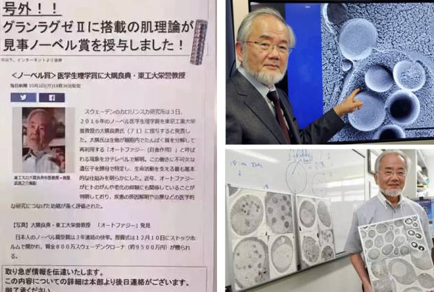 pola精华适合什么肤质,pola精华液