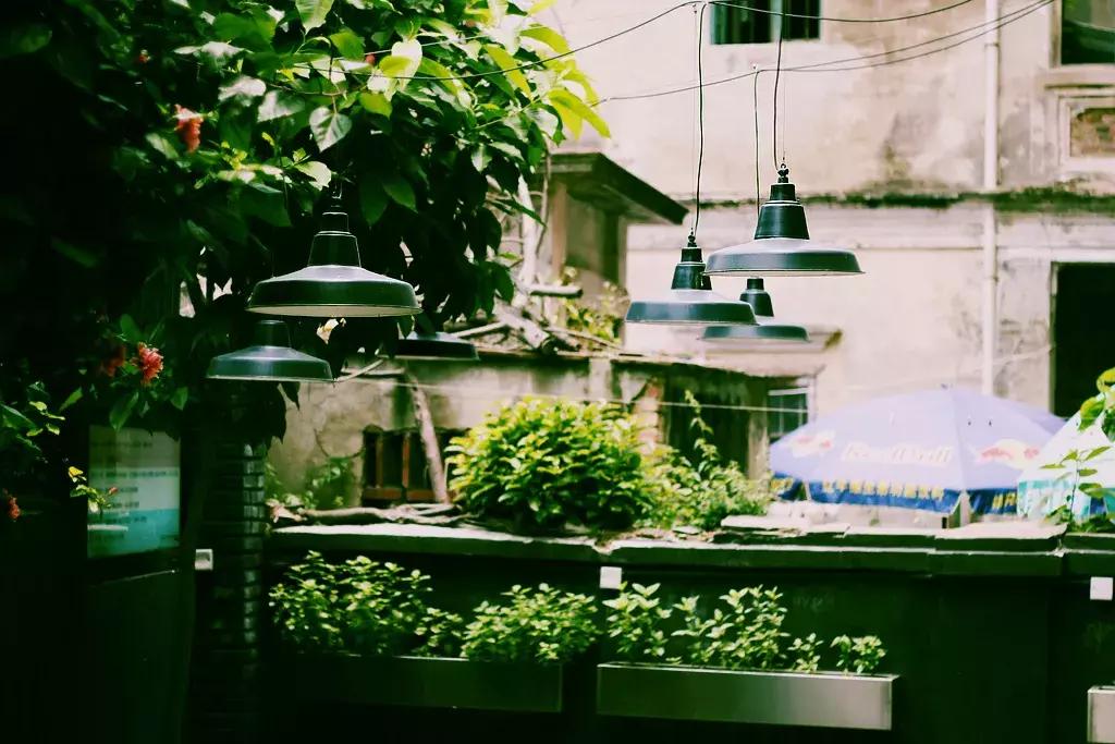 这个夏天总要来一趟浪漫的厦门,这个夏天再和你去一次厦门