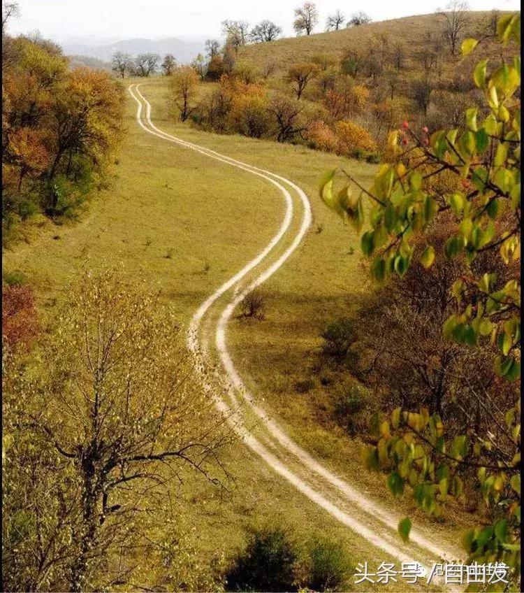 老包头人的生活缩影,包头各地往事
