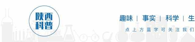 健康小鼻子,小鼻腔大健康